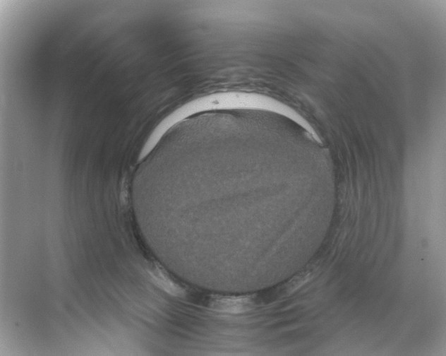 X0000070170081200606231932