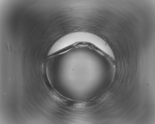 X0000070170084200606231932