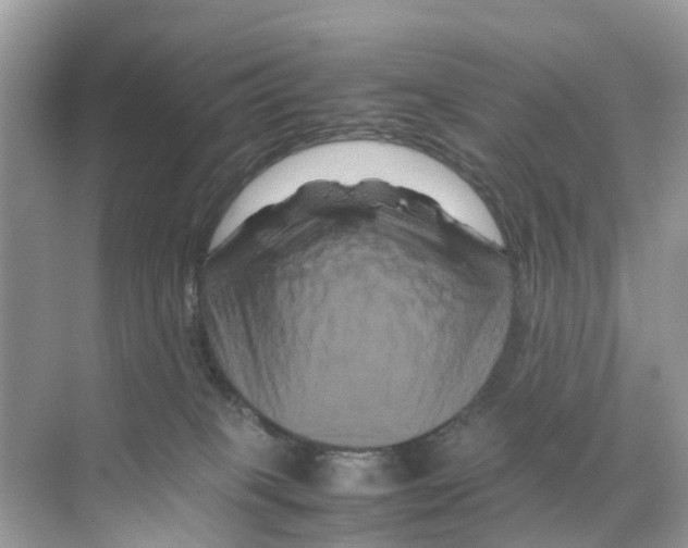 X0000070170085200606231932