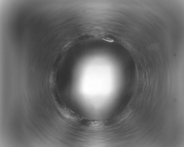 X0000070170088200606231932