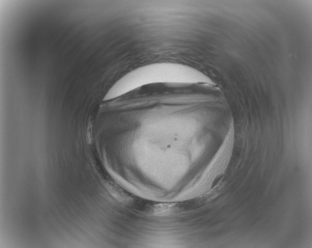 X0000070170090200606231932