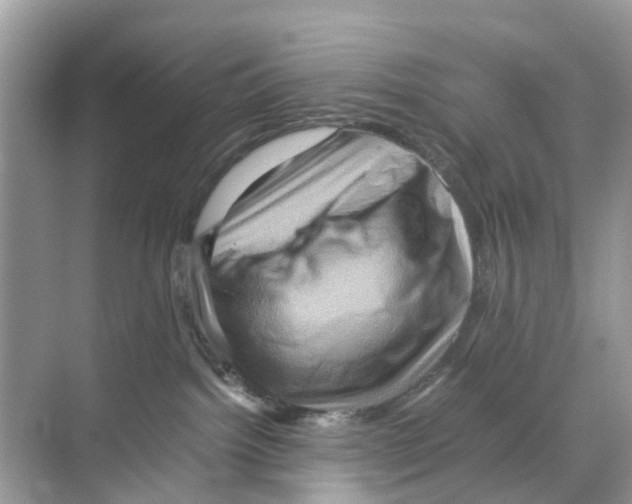 X0000070170092200606231932