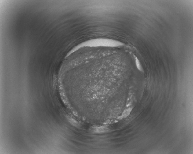 X0000070170093200606231932