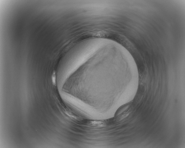 X0000070170095200606231932