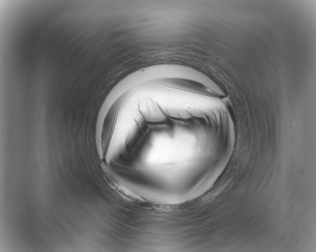 X0000070170096200606231932