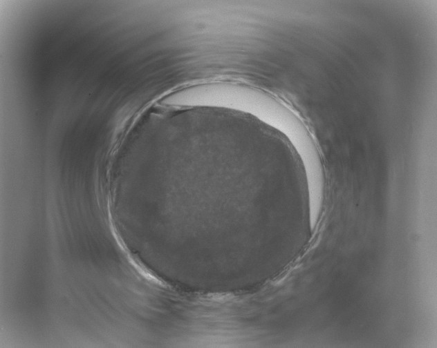 X0000070170097200606231931