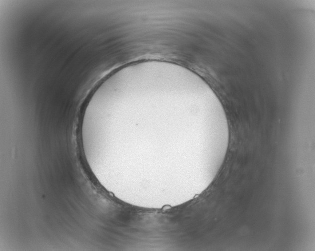 X0000070170098200606231931