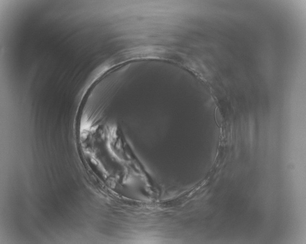 X0000070170099200606231931