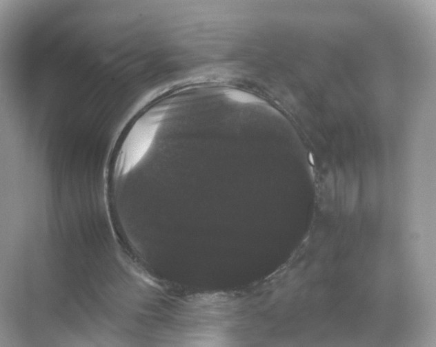 X0000070170100200606231931