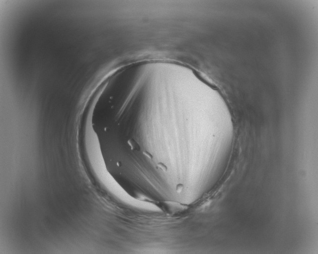 X0000070170103200606231931