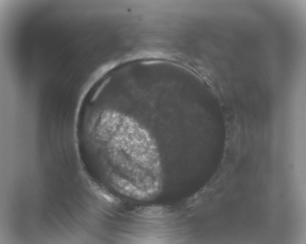 X0000070170104200606231931