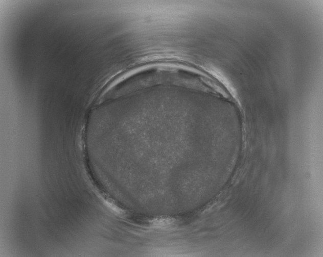 X0000070170105200606231931