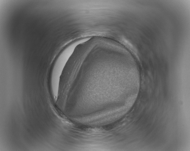 X0000070170107200606231931