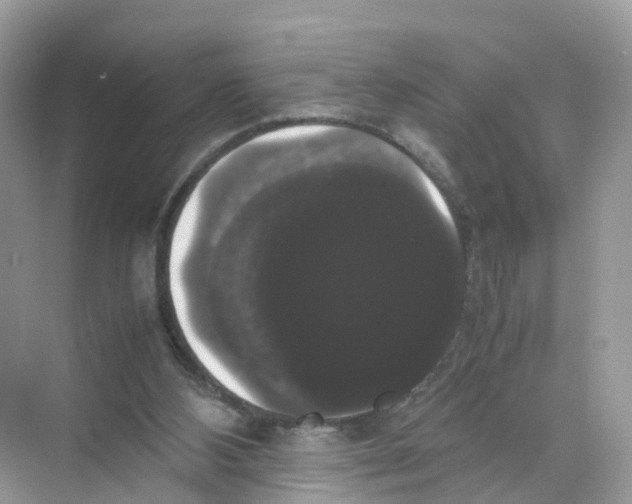 X0000070170108200606231931