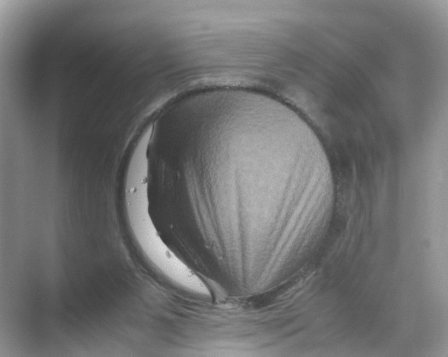 X0000070170111200606231931