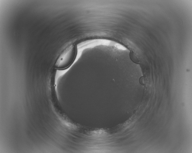 X0000070170112200606231931