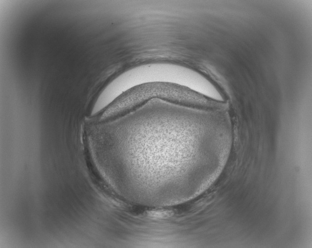 X0000070170115200606231931