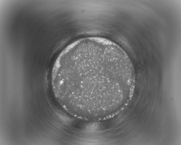 X0000070170116200606231931