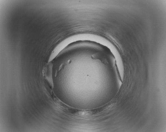 X0000070170117200606231931