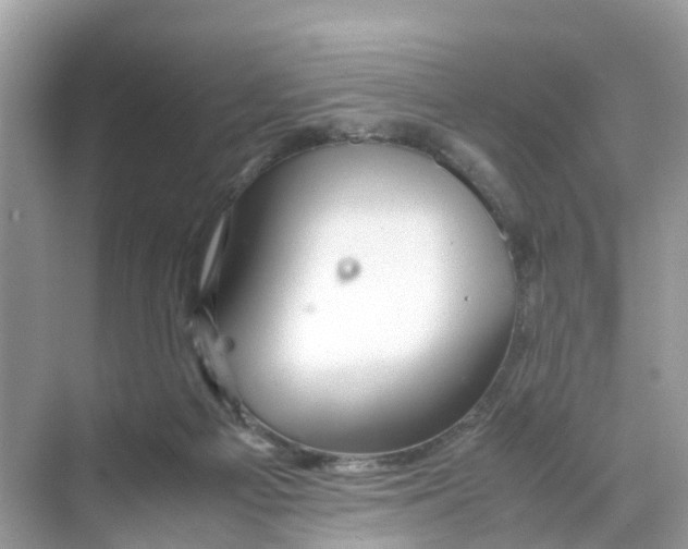 X0000070170121200606231931