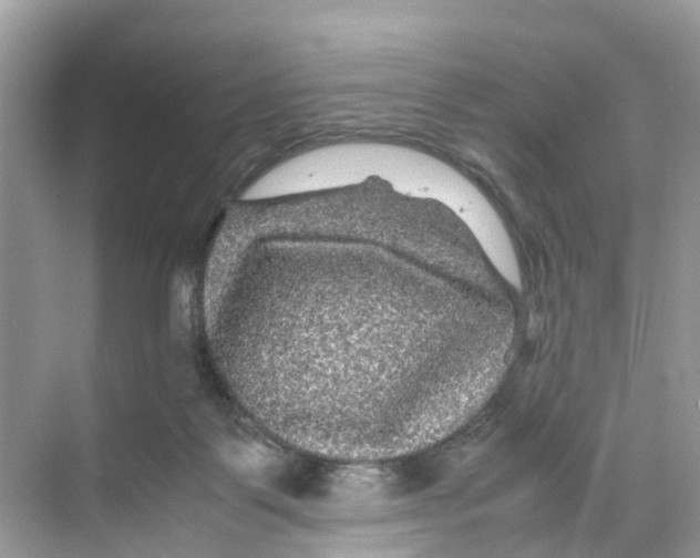 X0000070170123200606231931