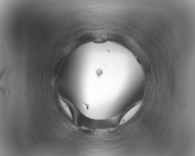 X0000070170125200606231931