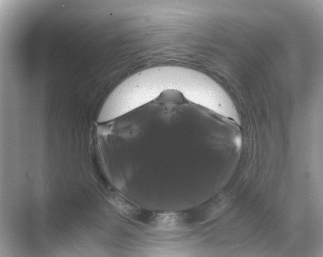 X0000070170127200606231931