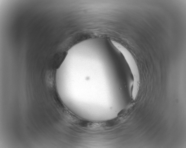 X0000070170129200606231931