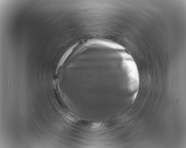 X0000070170130200606231931