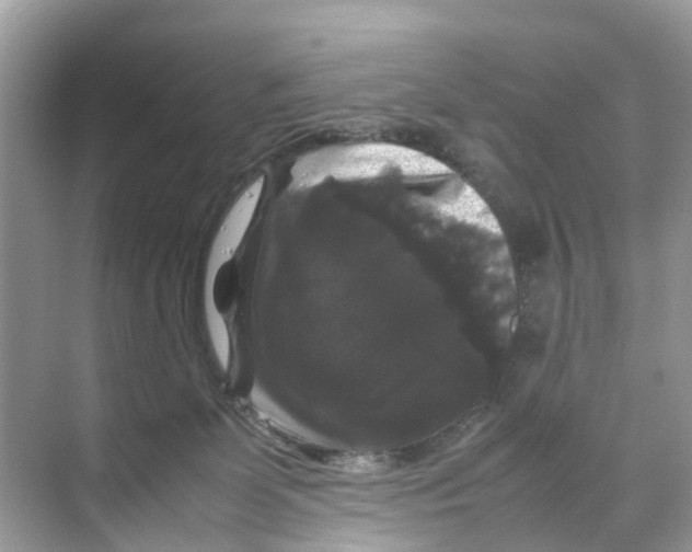 X0000070170131200606231931