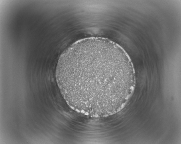 X0000070170132200606231931