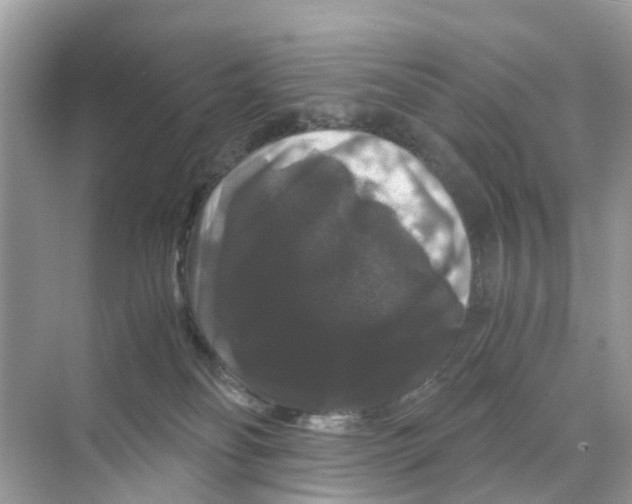 X0000070170134200606231931