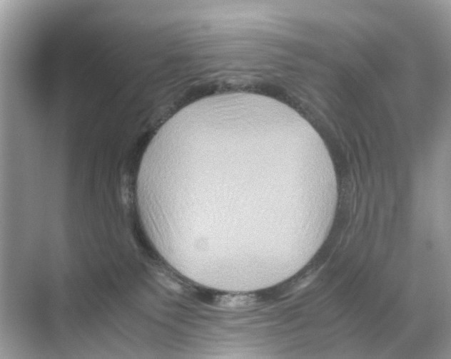 X0000070170135200606231931