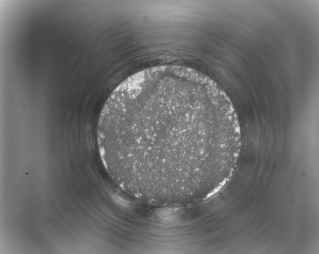 X0000070170136200606231931