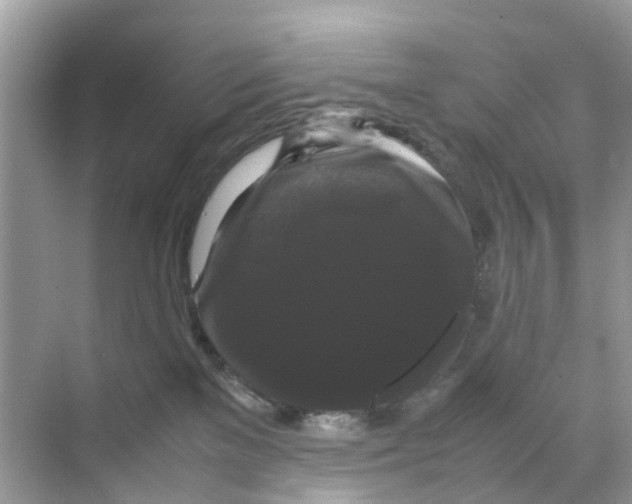 X0000070170137200606231931