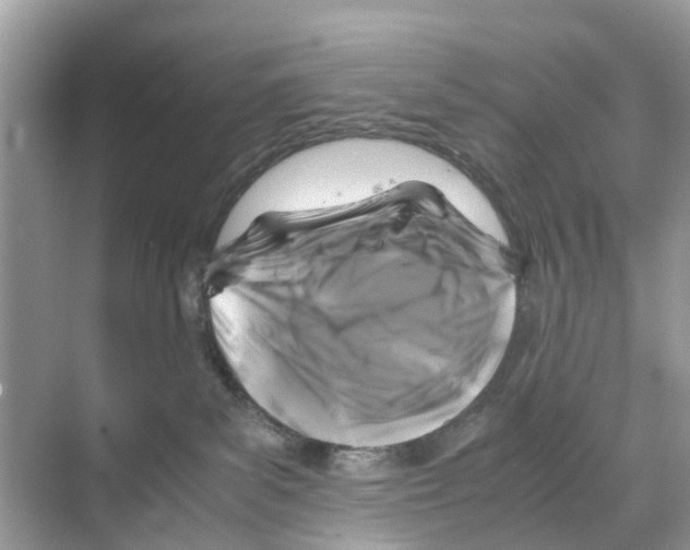 X0000070170139200606231930