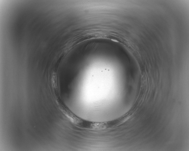 X0000070170141200606231930