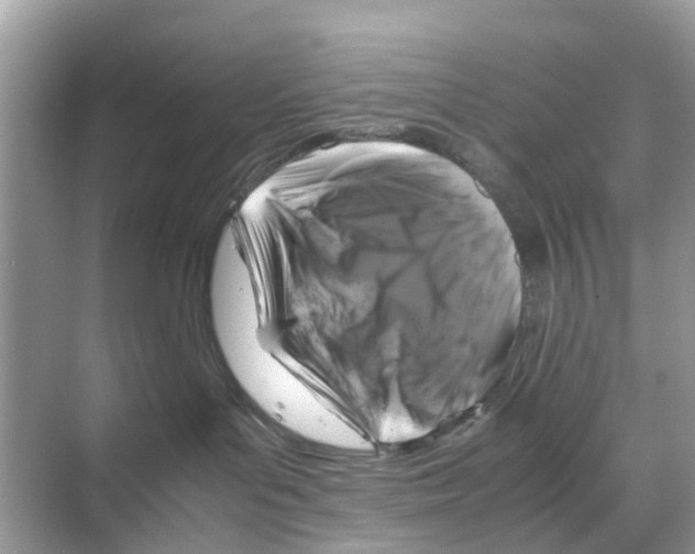 X0000070170143200606231930