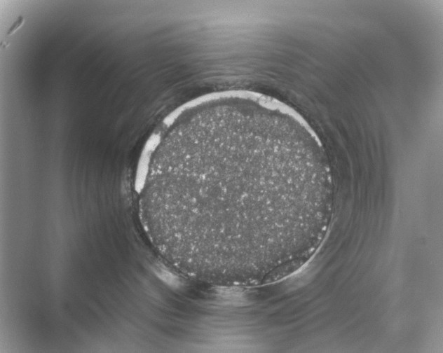 X0000070170144200606231930