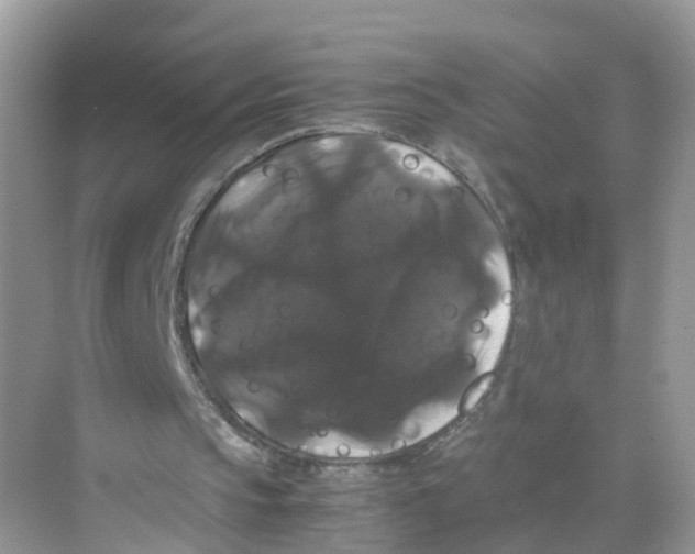 X0000070170145200606231930