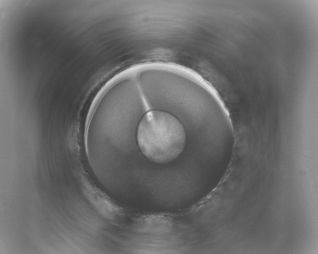 X0000070170146200606231930