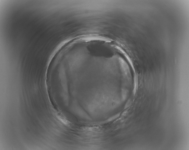 X0000070170147200606231930