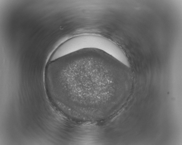 X0000070170148200606231930