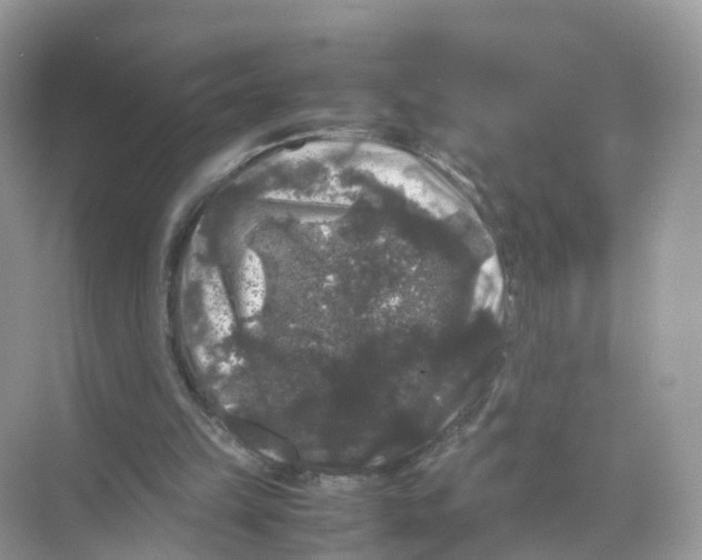 X0000070170149200606231930