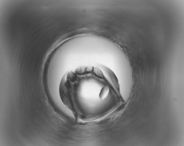 X0000070170150200606231930