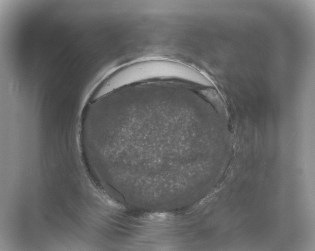 X0000070170152200606231930