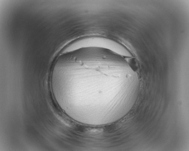 X0000070170155200606231930