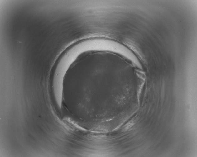 X0000070170156200606231930