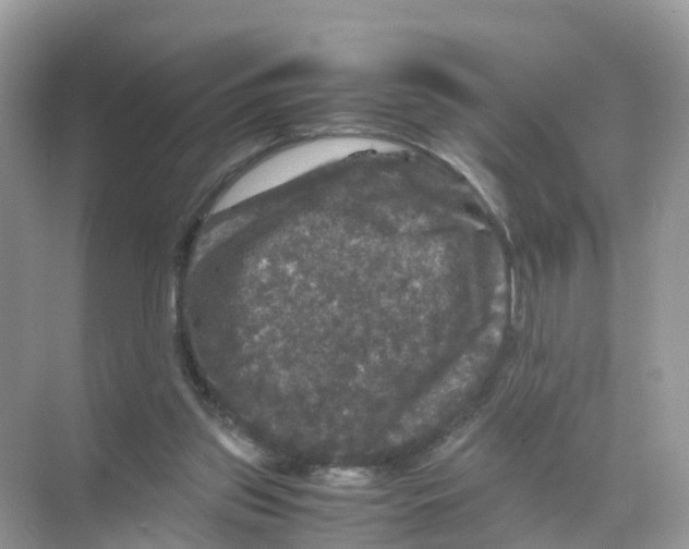 X0000070170157200606231930