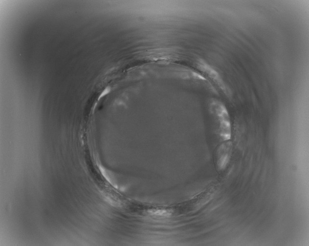 X0000070170161200606231930